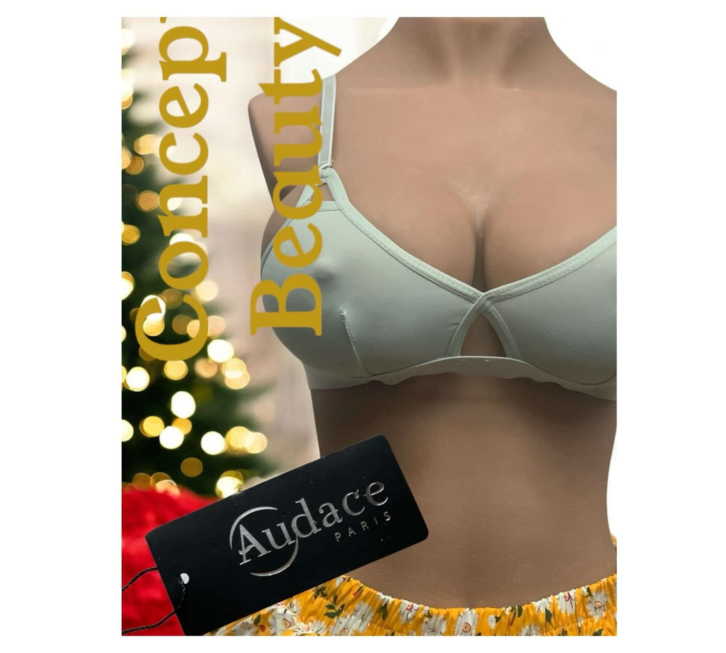 Soutien-gorge Audace Paris